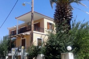 Fenareti Apartments_accommodation_in_Apartment_Aegean Islands_Lesvos_Eressos