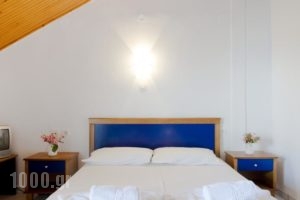 Hotel Vlassis_best deals_Hotel_Thessaly_Larisa_Agia