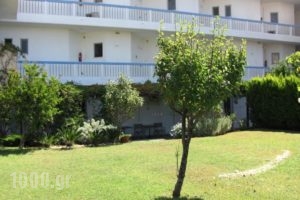Karistos Mare Apartments_best prices_in_Apartment_Central Greece_Evia_Karystos