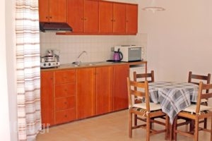 Flamingo Apartments_travel_packages_in_Crete_Lasithi_Sitia