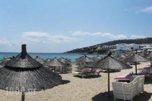 Manos Studios_best deals_Hotel_Cyclades Islands_Mykonos_Platys Gialos