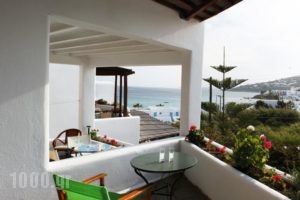 Manos Studios_best prices_in_Hotel_Cyclades Islands_Mykonos_Platys Gialos