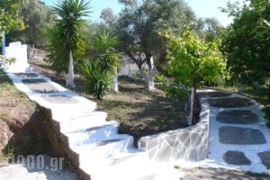Stefanos Garden_travel_packages_in_Crete_Chania_Fournes