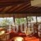 Erato_best prices_in_Hotel_Central Greece_Viotia_Livadia