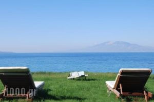 Kavos Psarou Villas_travel_packages_in_Ionian Islands_Zakinthos_kato Gerakari