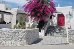 Astoria Apartments in Naousa, Paros, Cyclades Islands