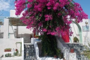 Astoria Apartments_travel_packages_in_Cyclades Islands_Paros_Naousa