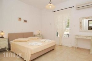 Tzane_best prices_in_Apartment_Cyclades Islands_Paros_Chrysi Akti