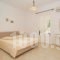 Tzane_best prices_in_Apartment_Cyclades Islands_Paros_Chrysi Akti
