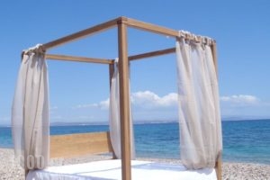 Theoxenia_accommodation_in_Hotel_Aegean Islands_Chios_Chios Rest Areas