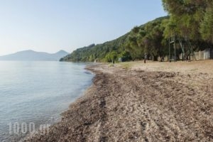 Corfu Village_lowest prices_in_Hotel_Ionian Islands_Corfu_Corfu Rest Areas