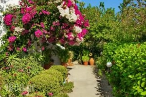Paul'S Garden Studios_holidays_in_Hotel_Dodekanessos Islands_Rhodes_Rhodes Areas