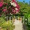 Paul'S Garden Studios_holidays_in_Hotel_Dodekanessos Islands_Rhodes_Rhodes Areas
