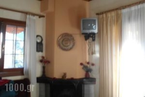 Gerakofolia Rooms to Let_accommodation_in_Room_Epirus_Ioannina_Konitsa