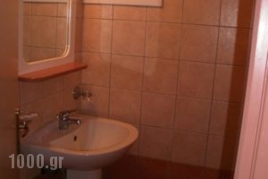 Hotel Stella_holidays_in_Hotel_Thessaly_Magnesia_Chania