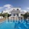 Polo Villas_best prices_in_Villa_Crete_Chania_Akrotiri