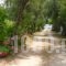 Olga's Garden Apartments_holidays_in_Apartment_Ionian Islands_Corfu_Corfu Rest Areas