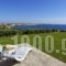 Villa Agia Thalassa_holidays_in_Villa_Cyclades Islands_Paros_Paros Chora