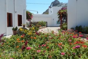 Deidamia Hotel_travel_packages_in_Sporades Islands_Skyros_Linaria