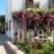 Deidamia Hotel_best prices_in_Hotel_Sporades Islands_Skyros_Linaria