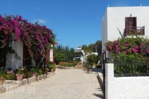 Deidamia Hotel_best deals_Hotel_Sporades Islands_Skyros_Linaria