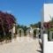 Deidamia Hotel_best deals_Hotel_Sporades Islands_Skyros_Linaria