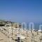 Arkadi Apartments_holidays_in_Apartment_Crete_Heraklion_Malia