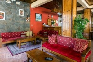 Hotel Dryades_best prices_in_Hotel_Thessaly_Trikala_Elati