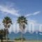 Andromeda Hotel Apartments_travel_packages_in_Dodekanessos Islands_Kos_Kos Chora