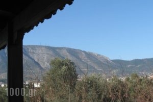 Petros Apartment_travel_packages_in_Central Greece_Attica_Alimos (Kalamaki)
