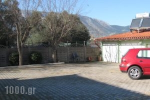 Petros Apartment_best deals_Apartment_Central Greece_Attica_Alimos (Kalamaki)