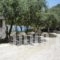 Rovies Camping_best deals_Room_Central Greece_Evia_Limni