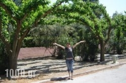 Rovies Camping in Limni, Evia, Central Greece