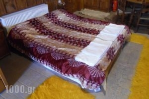Elatos Rooms_best prices_in_Room_Central Greece_Evritania_Neo Mikro Chorio