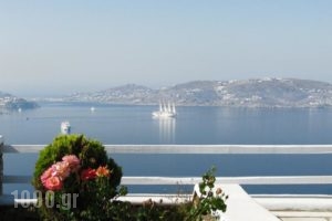 Aeri Villas and Studios_accommodation_in_Villa_Cyclades Islands_Mykonos_Mykonos Chora