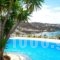 Adikri Villas & Studios_accommodation_in_Villa_Cyclades Islands_Mykonos_Mykonos Chora