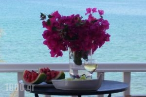 Roussos Beach Hotel_accommodation_in_Hotel_Cyclades Islands_Paros_Paros Chora