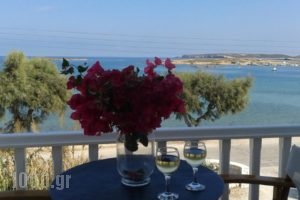 Roussos Beach Hotel_holidays_in_Hotel_Cyclades Islands_Paros_Paros Chora