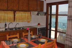 Ansi Studios & Apartments_best prices_in_Apartment_Crete_Chania_Almyrida