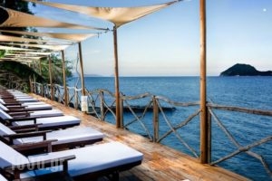 Gloria Maris Hotel Suites and Villa_accommodation_in_Villa_Ionian Islands_Zakinthos_Laganas