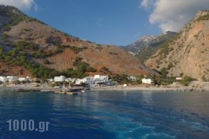 Artemis Studios_accommodation_in_Hotel_Crete_Chania_Sfakia
