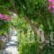 Missiria Apartments_best prices_in_Apartment_Crete_Rethymnon_Rethymnon City