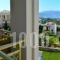 Sense Of Dream Villa_best prices_in_Villa_Crete_Chania_Elos