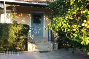 Nikolaos Apartments_best deals_Apartment_Peloponesse_Achaia_Vrachneika
