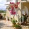Treehouse Holiday Homes_holidays_in_Hotel_Piraeus Islands - Trizonia_Spetses_Spetses Chora