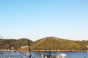Despoina Home_best deals_Hotel_Sporades Islands_Skiathos_Skiathos Chora