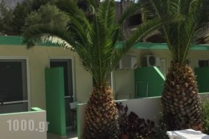 Voula Ilias Studios_best deals_Hotel_Dodekanessos Islands_Kalimnos_Kalimnos Rest Areas