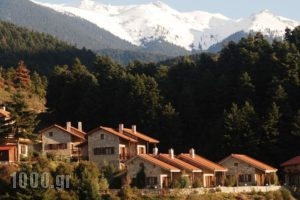 Georgio's V Chalet_accommodation_in_Hotel_Peloponesse_Achaia_Kalavryta