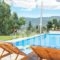 Almond Tree_lowest prices_in_Hotel_Sporades Islands_Skopelos_Skopelos Chora