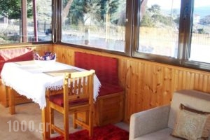 Yades Guest House_lowest prices_in_Hotel_Central Greece_Fokida_Delfi